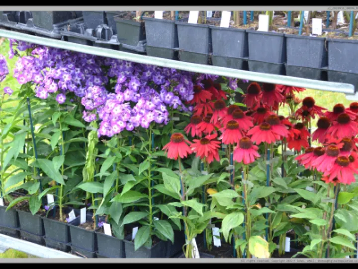 Pj 20220910 100058 0004