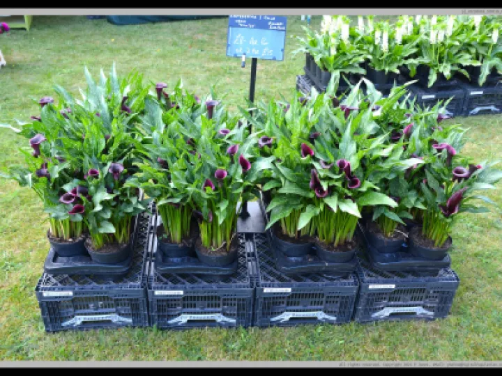 Pj 20220910 100518 0013