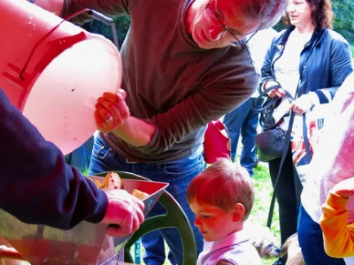 Apple Pressing – watching carefully