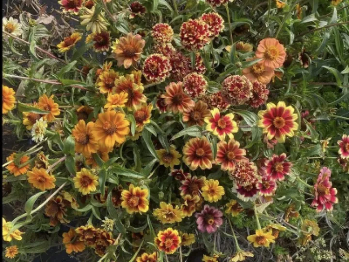 66C717E2-AD25-434C-AC12-AC9D85EDDDFF