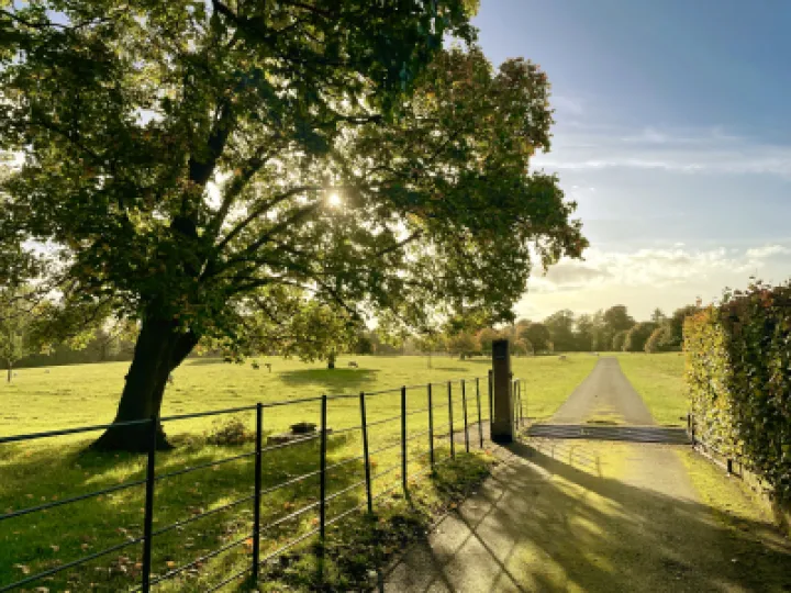 Henbury Hall Driveway Autumn