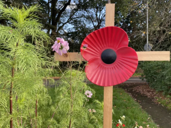 Poppy and cross