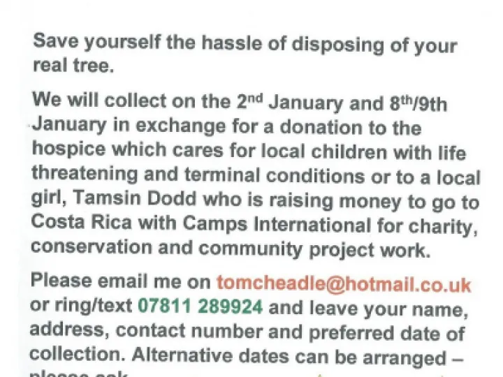 Christmas Tree Collection Offer 2022 PhotoScan