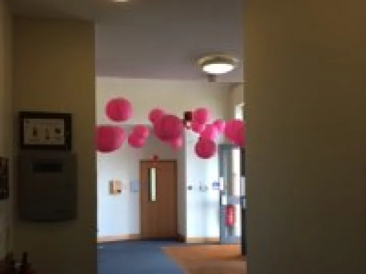 Chinese Lanterns &ndash; Lifepath