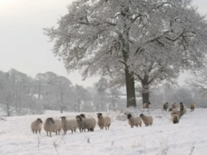 36d852a550e34a208ea112d1182b2d75