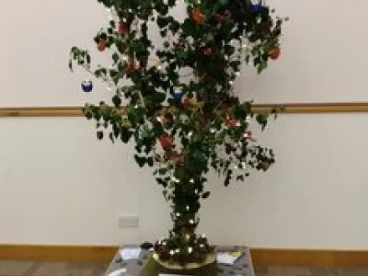 2022-12-02 Sustainable Wantage tree