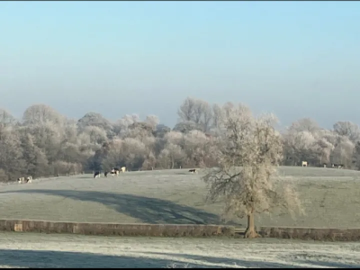 December Chilly Morning 2022