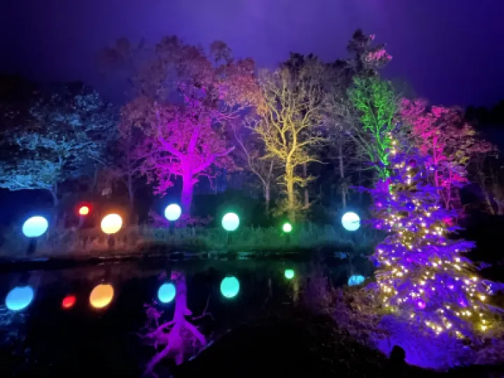 Bewilderwood Presents Christmas   Opening Weekend