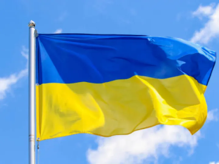 Ukraine Flag