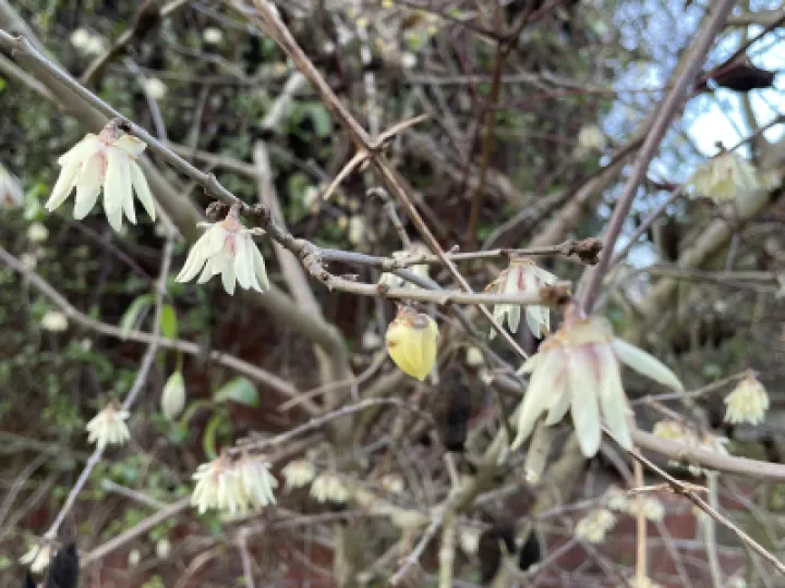 81458228-67B0-40D0-9E61-C0CA607988DB