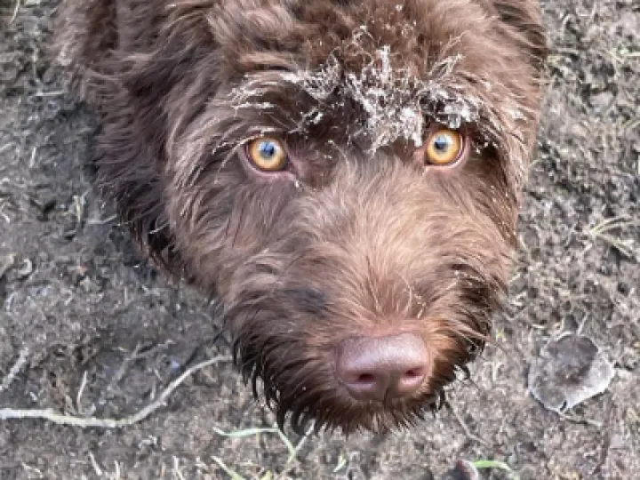 1cba6916-2138-4e53-94c3-c9969b390cd2