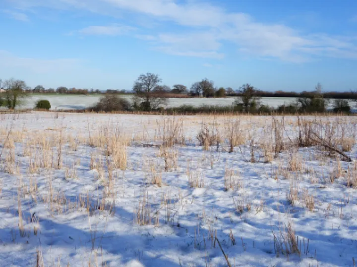 #R Winter Morning s01835