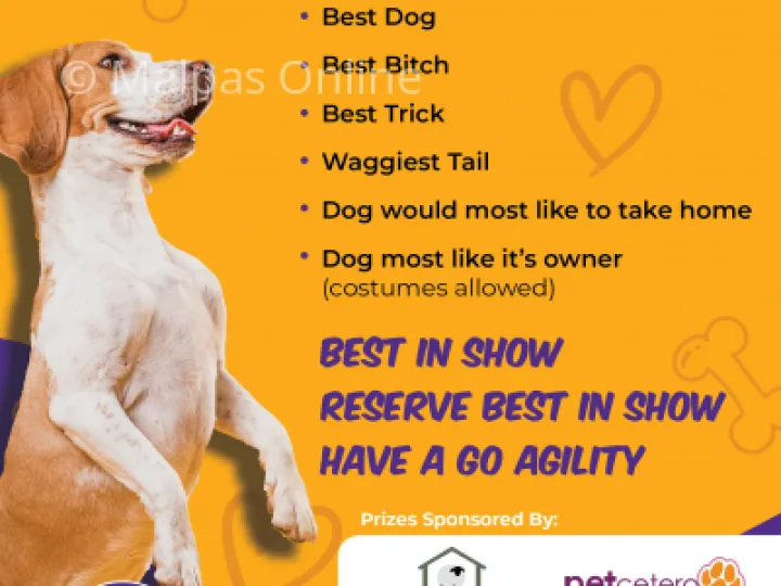 Dog Show