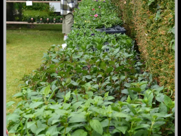 Pj 20230429 120804 0011