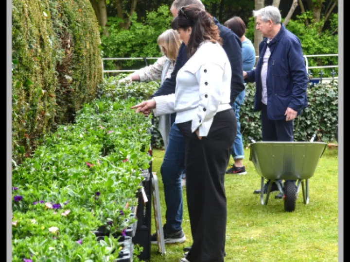 Pj 20230429 120849 0013