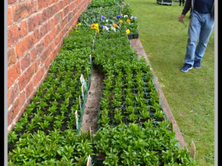 Pj 20230429 121220 0026