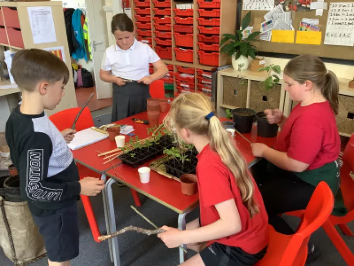 C05E518C-6BE9-4E91-89CD-237023226E0D