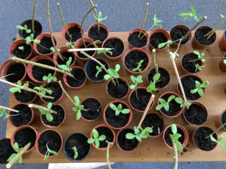 F2DB7F6E-CBFB-4B69-84C6-5006303D6BD7