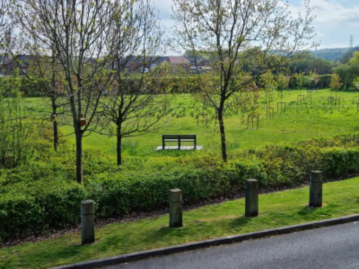 Jubilee Forest 3