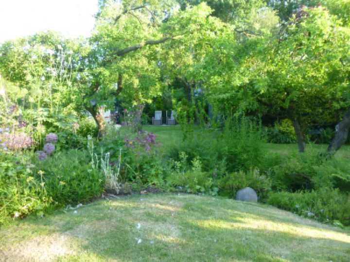 Flower Club Firs Garden June 2023 MD P1040289