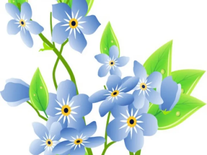 Forget me not