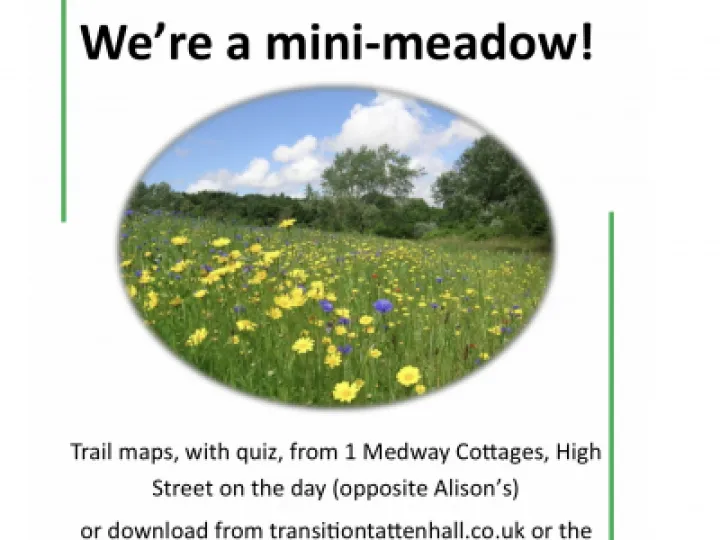 F743EA5C-B57C-4BB1-9E3D-EBFF91E71923