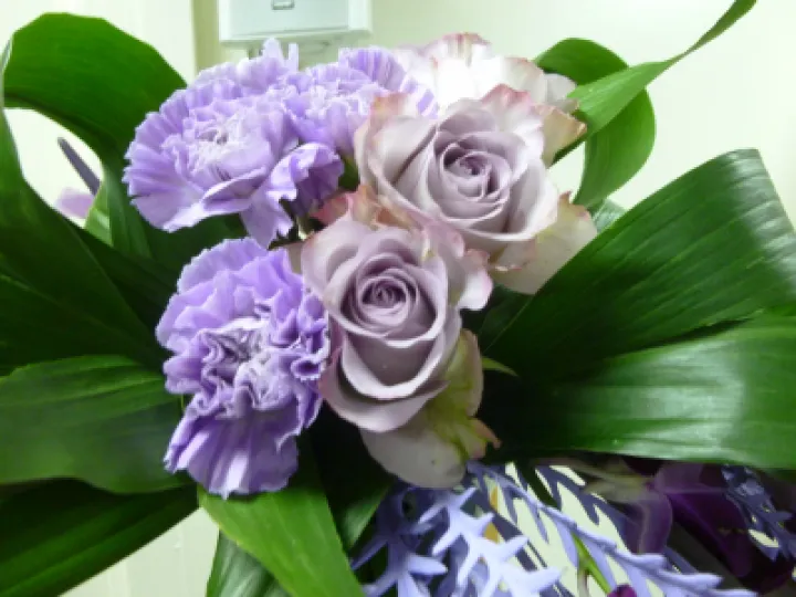 FLower Club July 2023 P1040290 (1)