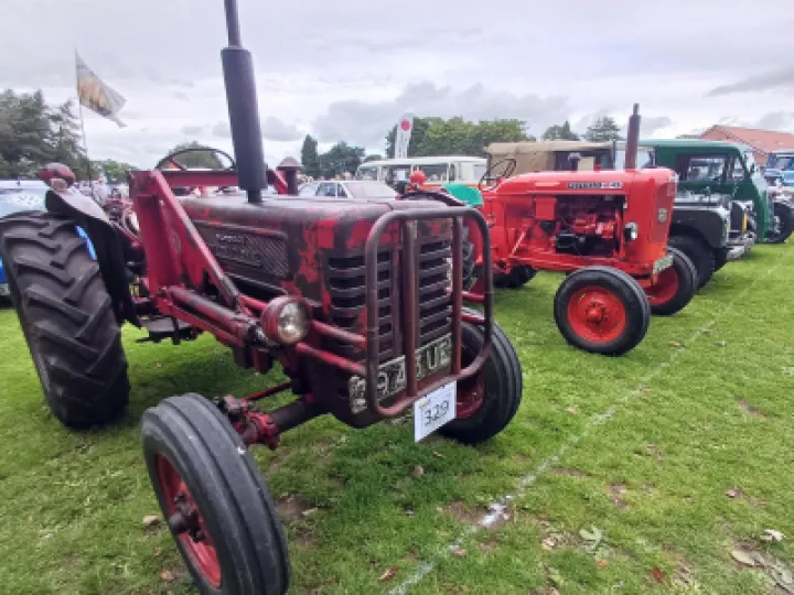 Helen Mayrick – TP Festival