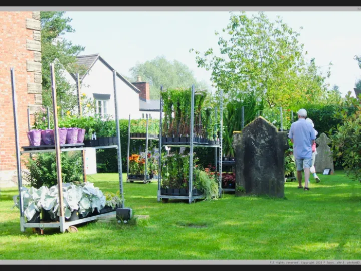 Pj 20230909 115114 0009