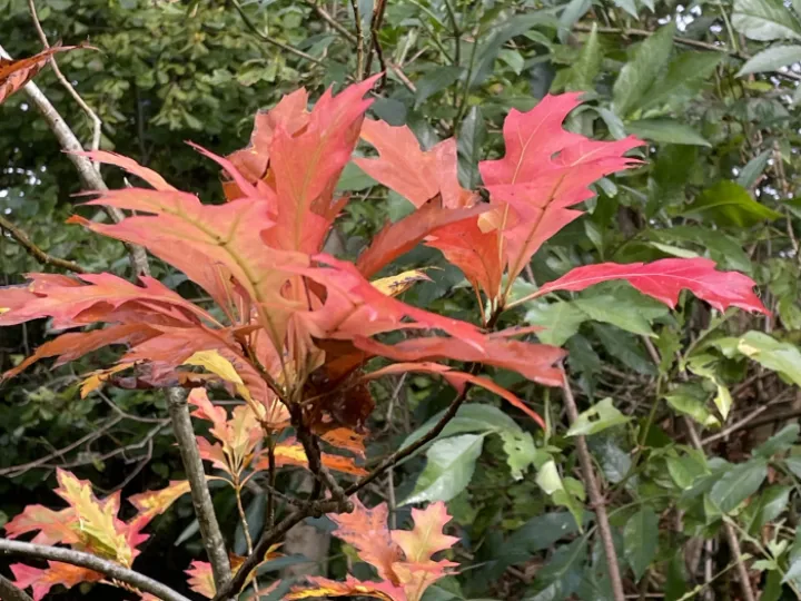 111DF039-CD57-47F5-B0B3-D826AE23D15A