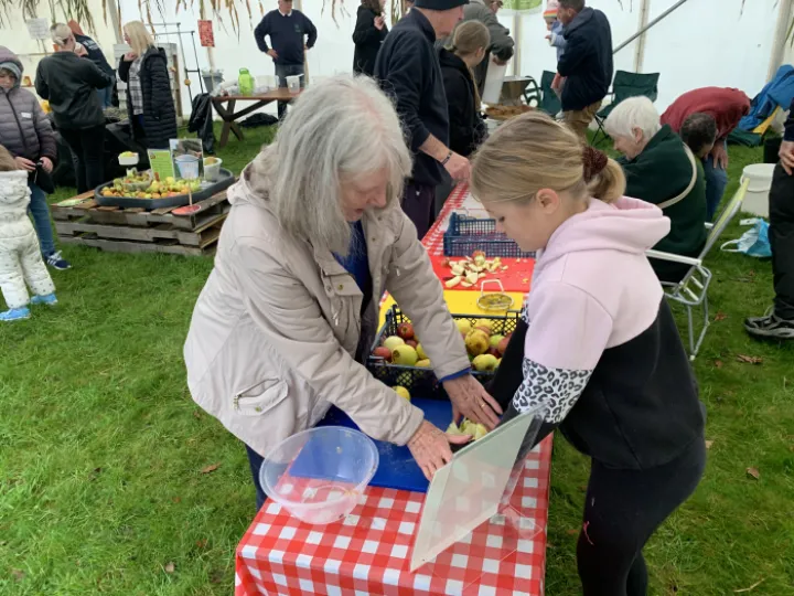 Carefully Cutting Up Apples