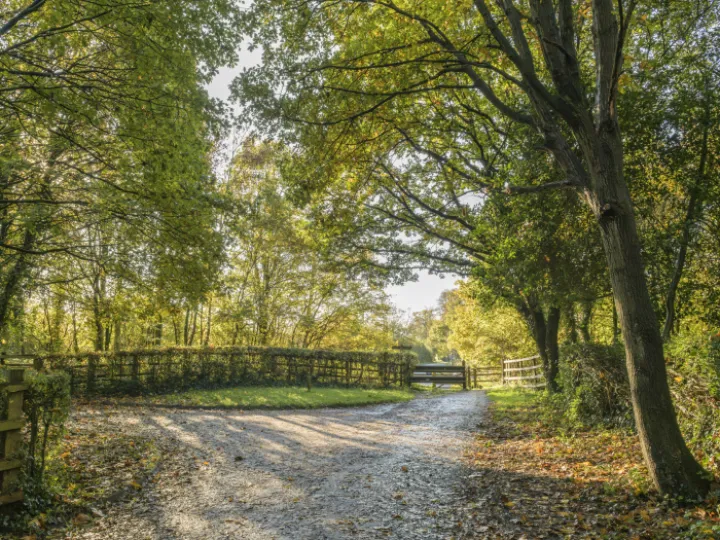 Image: 20231111 102837 Enhanced NR