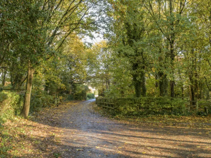 Image: 20231111 102927 Enhanced NR