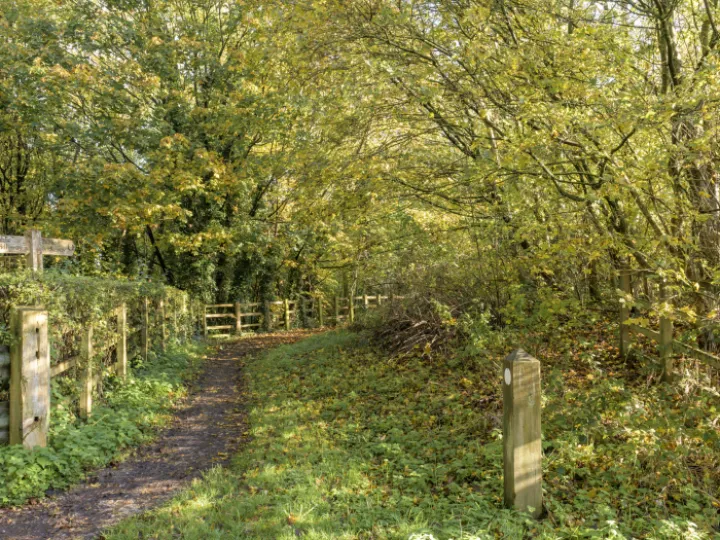 Image: 20231111 103018 Enhanced NR