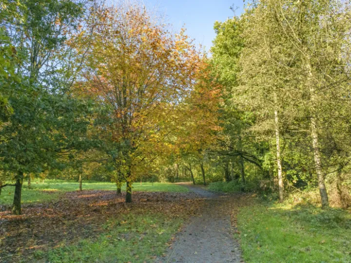 Image: 20231111 115851 01