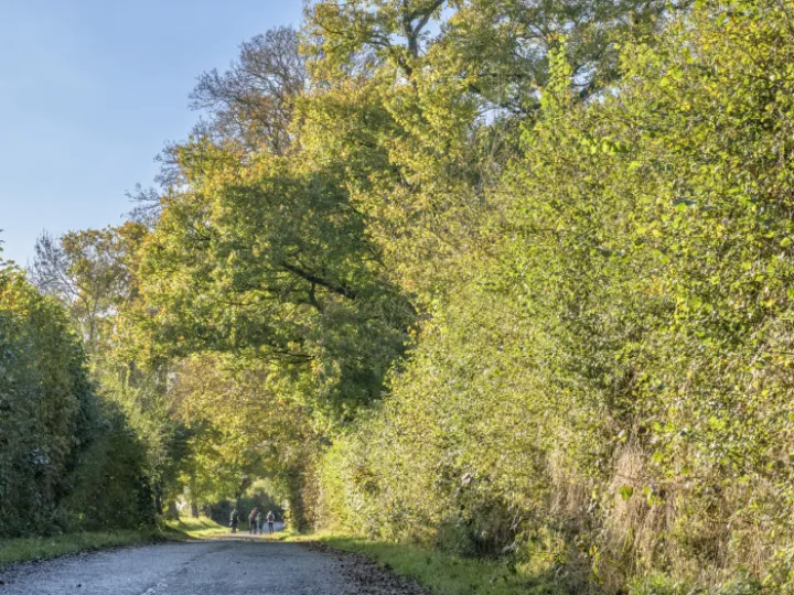 Image: 20231111 103710