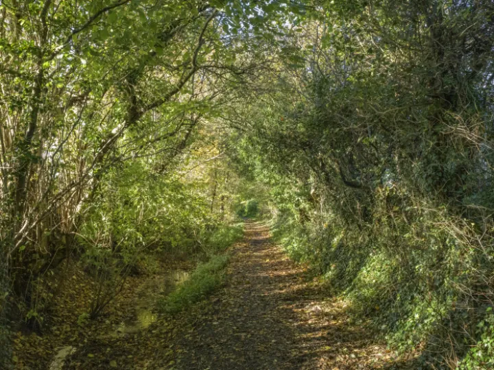 Image: 20231111 105553