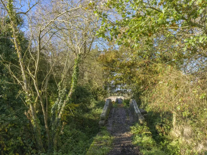 Image: 20231111 110311