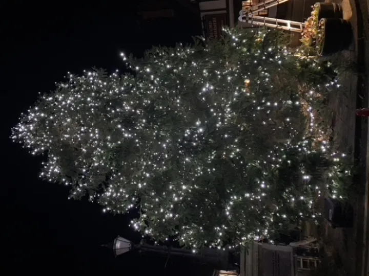 ADAS taking down trees