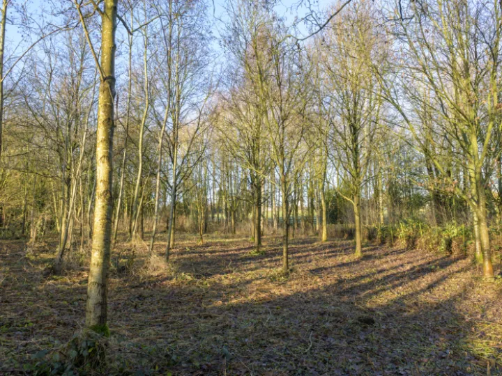 20240106-141305-Enhanced-Nr