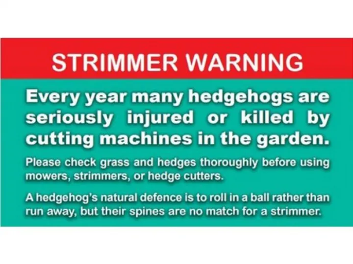 British Hedgehog Preservation Society – Strimmer