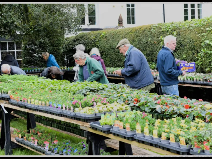 Pjj_20240504_103602_01