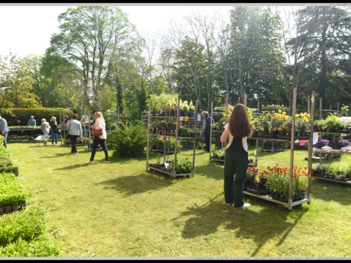 Pjj_20240505_111725_01