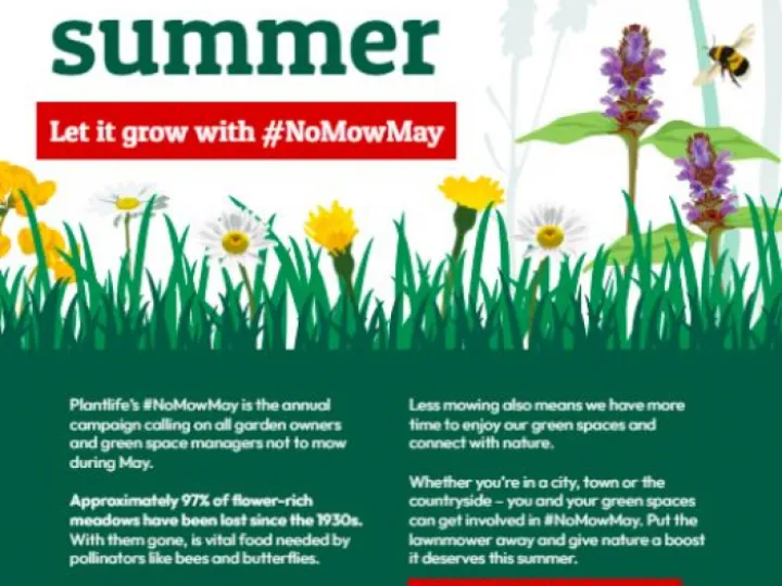 No Mow May