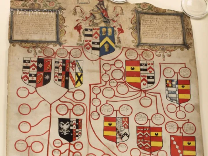 The Brereton Pedigree Role