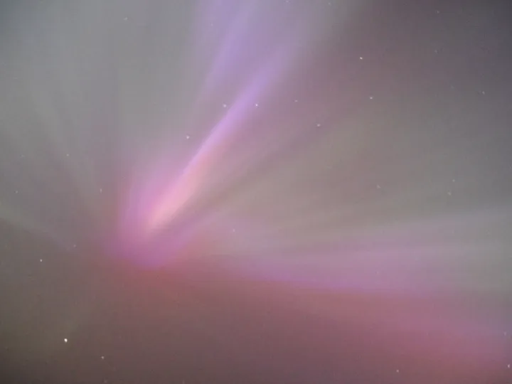 Aurora By Joanna Olivera