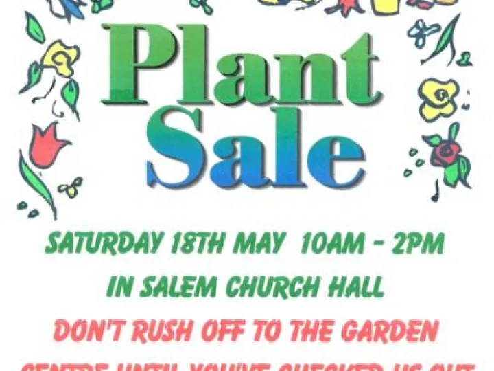 Plant Sale (Salem)