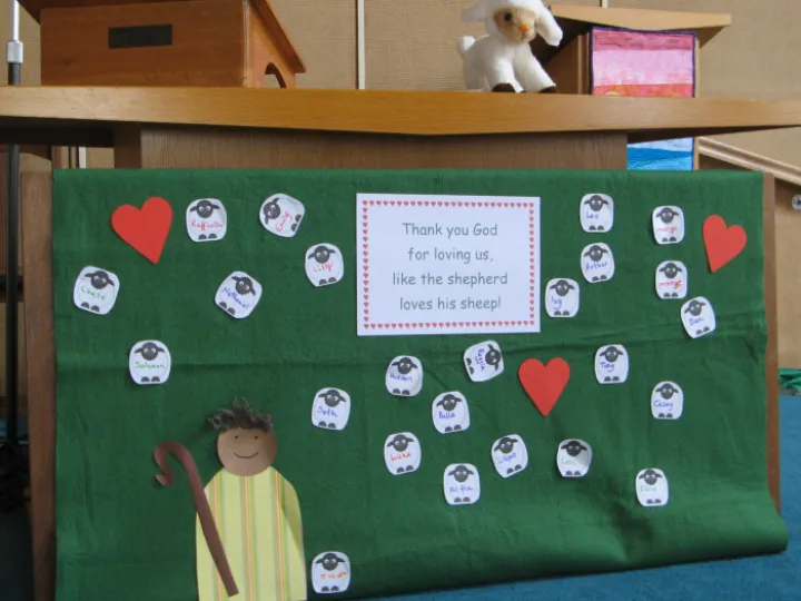 All our sheep gathered in the field