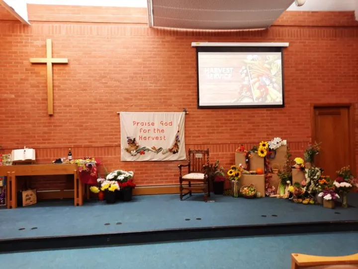 Tmc Harvest 20241006_105245