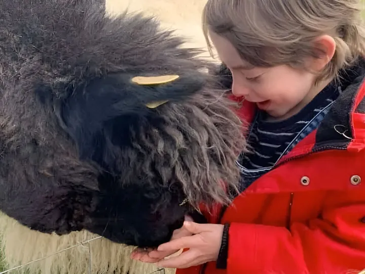 Alpaca Your Picnic 3